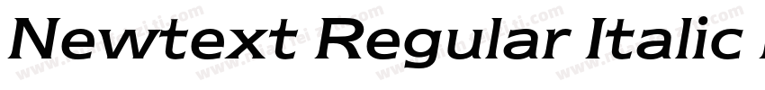 Newtext Regular Italic BT字体转换